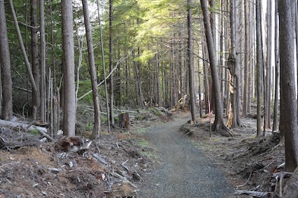 Border Trail In Seabrook