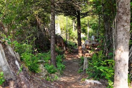 Cedar Run Trail In Seabrook