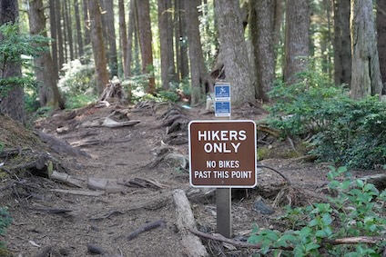 Dipper Trail In Seabrook