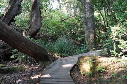 Elk Creek Trail In Seabrook