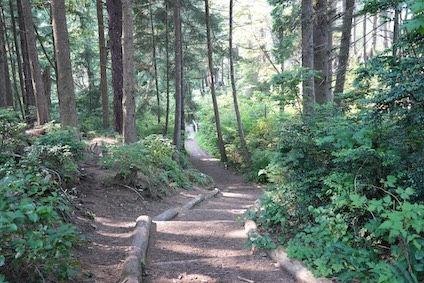 Gnome Trail In Seabrook