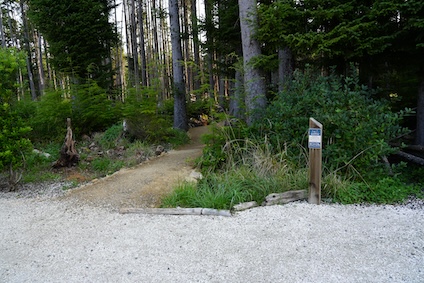 Narnia Trail In Seabrook