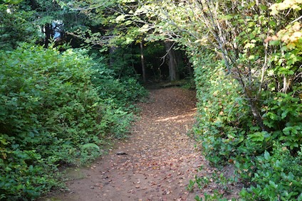 Zipline Trail In Seabrook